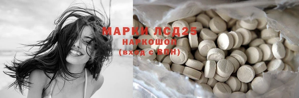 mdpv Новозыбков
