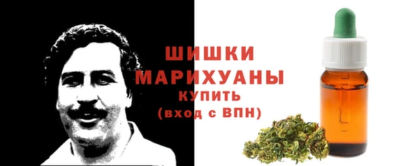 прущие грибы Армянск