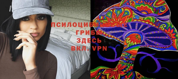 прущие грибы Армянск