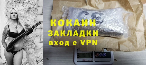 стафф Арсеньев