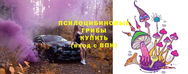 первитин Нея