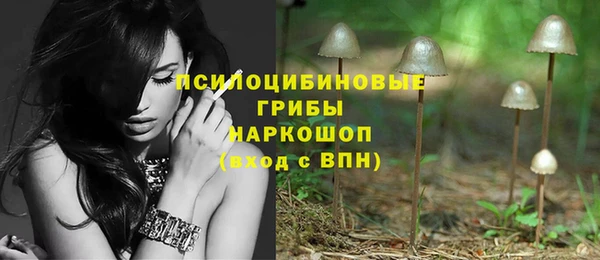 амф Новодвинск