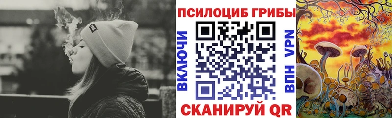 Псилоцибиновые грибы прущие грибы  Сафоново 