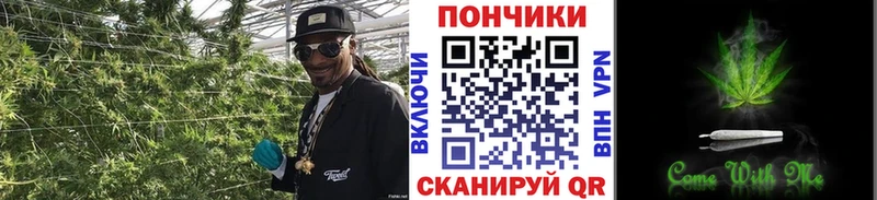 Бошки Шишки индика  omg онион  Сафоново 